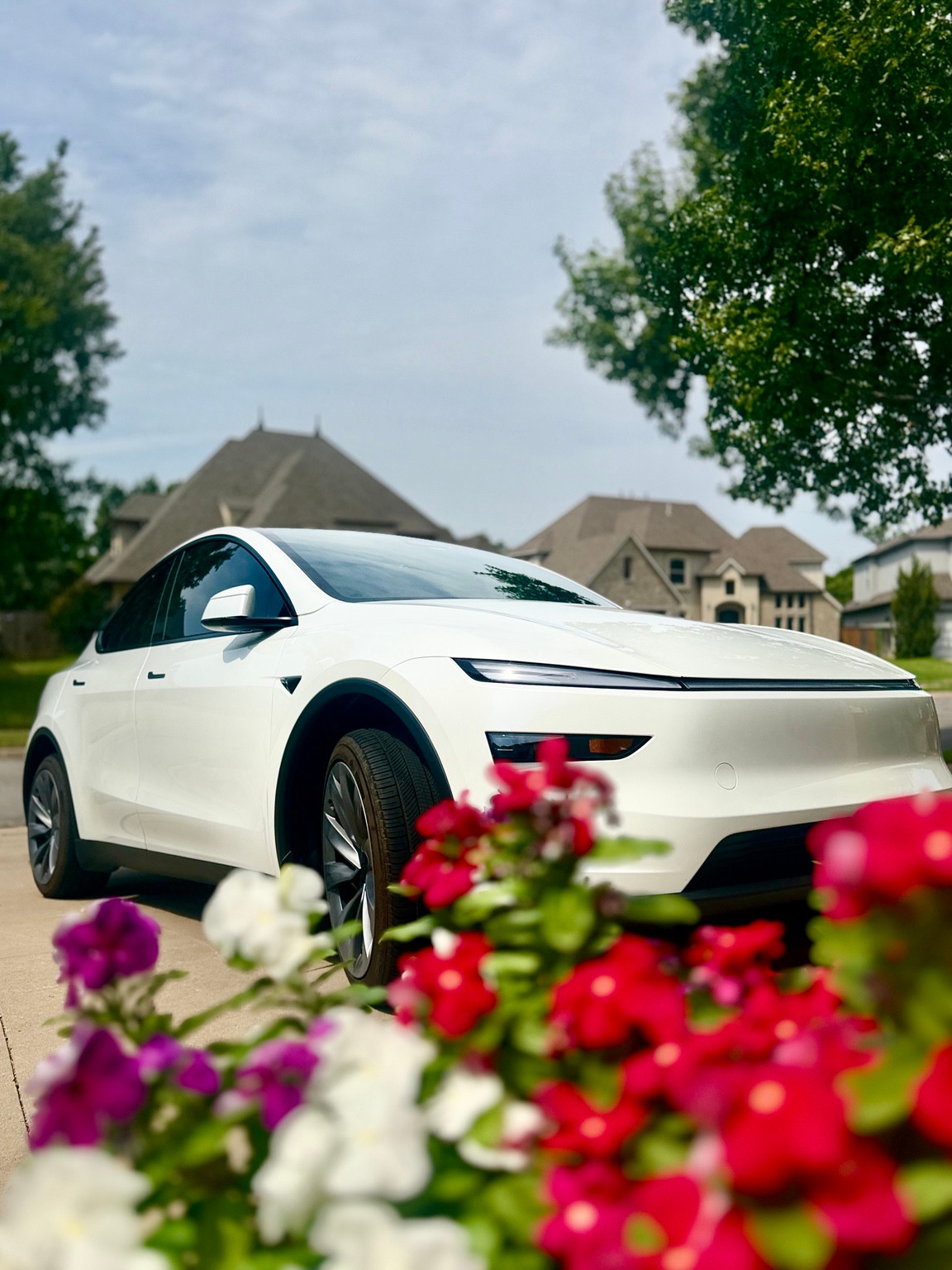 White Tesla photographed from the front corner behind red and white flowers